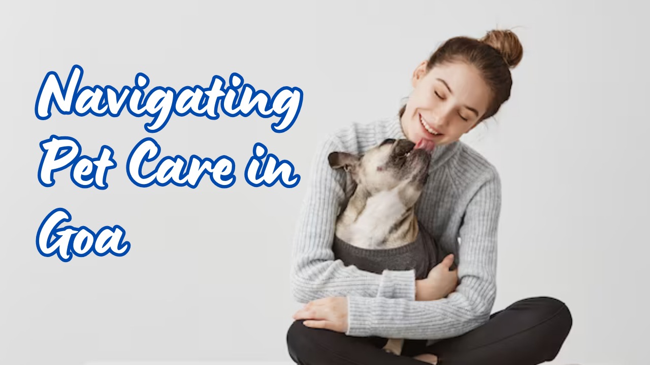 Navigating Pet Care in Goa